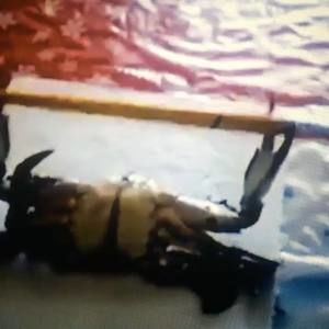 Meet your Posher, Don